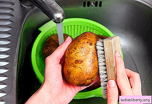 Waschen von Gemüse: einige nützliche Tipps
