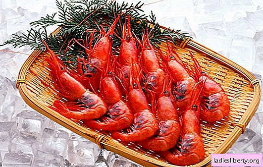 How to clean shrimp? Shrimp cleaning rules and tips for using shrimp shells