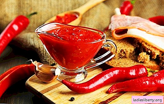 How to cook a sharp adjika for the winter: the secrets of experienced housewives. TOP best recipes of acute adzhika for winter