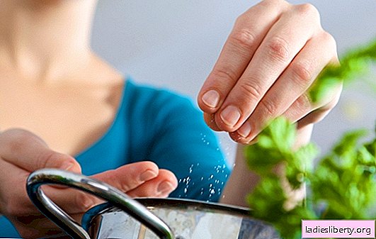 How to salt food: the secrets of an experienced housewife. What should I do if I accidentally oversalt?