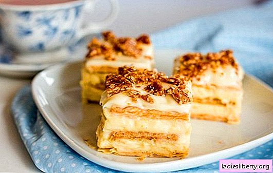 How to make an original cracker cake without baking. Delicious cracker-free cakes: quick and easy recipes