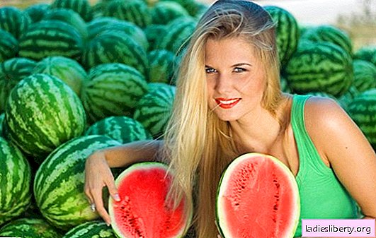 How to check watermelon for nitrates at home: sharing experience. Choose a watermelon yourself and test it for nitrates - just