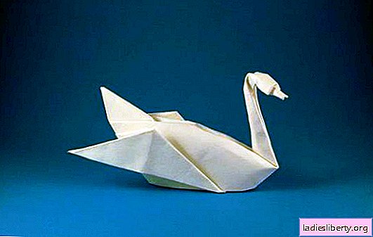 How to make a swan out of paper? Options of figures and step-by-step instructions with photos: we make swans from paper