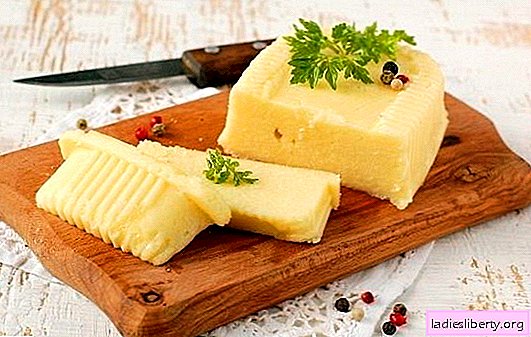 Wie man aus Milch mit eigenen Händen Käse macht: weich und hart. Hausgemachter Käse Rezepte und Technologie