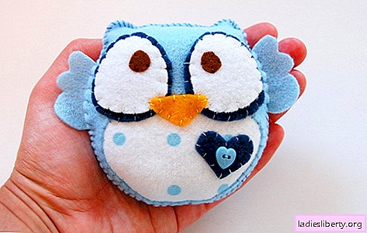 How to make an owl with your own hands (photo): unusual ideas. Workshop on making owls from fabric, cardboard or paper