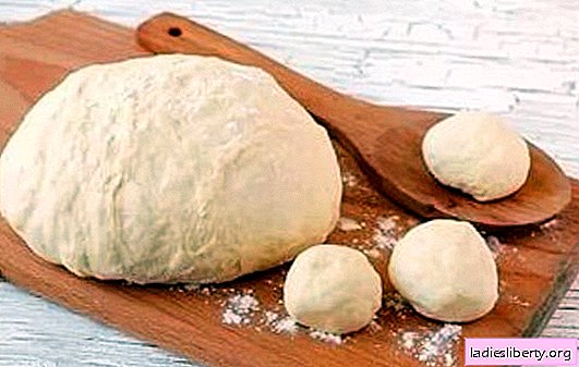 How to make dough like fluff - on kefir it will turn out! Kefir dough recipes for pies and not only for them