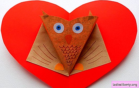 How to make a heart-shaped valentine with a cute owl. Master class on making a cute Valentine's paper