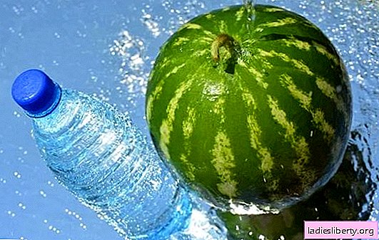 Wie man eine Wassermelone in der Wohnung bis zum neuen Jahr in der Wohnung hält. Mehrere effektive Möglichkeiten, um frische Wassermelonen für eine lange Zeit zu speichern