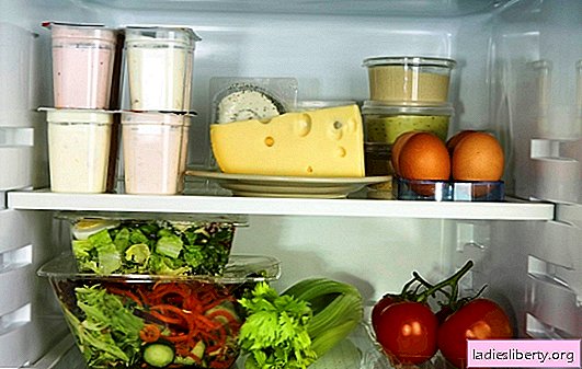Cómo conservar el queso: información general sobre grados y condiciones de almacenamiento. Cómo mantener el queso en el refrigerador por más tiempo: consejos y trucos