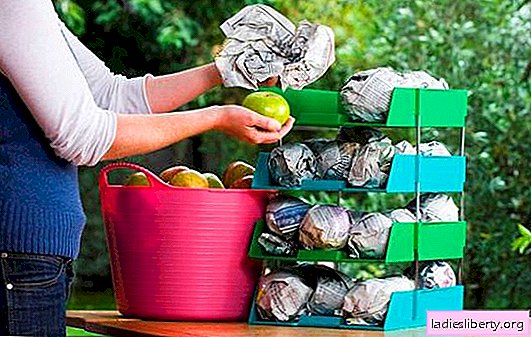 Cómo guardar manzanas durante mucho tiempo: ¿envolver en papel o espolvorear con arena y cenizas? ¿Por qué no puedes almacenar manzanas al lado de papas?