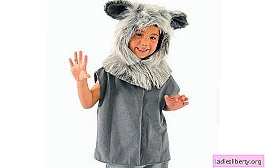 Cómo coser un divertido disfraz de lobo con tus propias manos para un niño. Clase magistral con una foto para artesanas principiantes: un disfraz de lobo