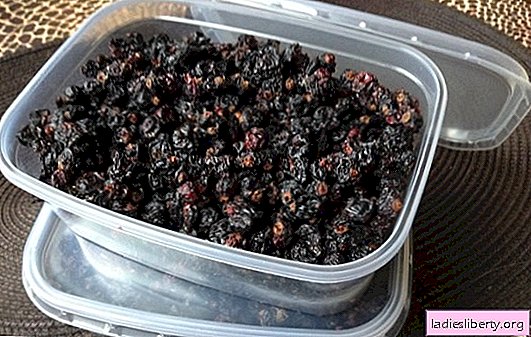 How to dry currants: secrets and tips. For what dishes and how to use dried currants
