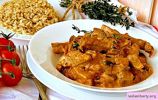 As in a restaurant - pork beef stroganoff with gravy. Homemade pork beef stroganoff with gravy for various recipes
