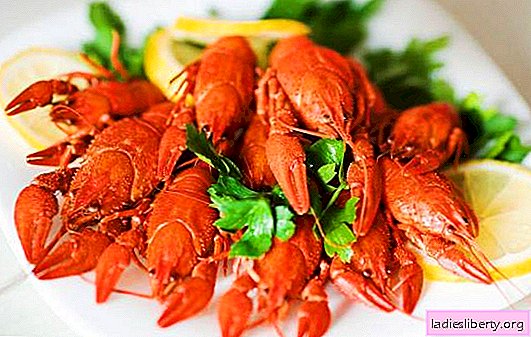 Como cozinhar lagostins corretamente, o que eles geralmente cozem? Como cozinhar lagostins: receitas tradicionais e originais de lagostas cozidas