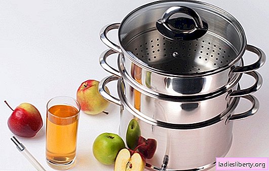 Hoe kook je sap van appels in een fruitpers voor de winter? Heel eenvoudig! Subtiliteiten en trucs: met wat en hoe sap te koken in een appelsap