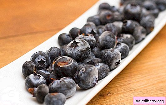 How to freeze blueberries for the winter correctly. The main ways, recommendations on how to keep blueberries fresh for the winter