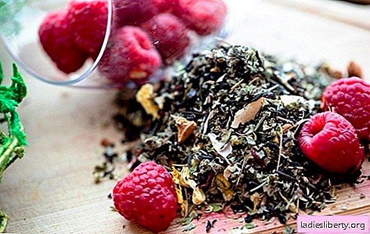 Ako pripraviť čaj z malínových listov, aké choroby liečia? Výhody a poškodenia čaju na základe malínových listov, kontraindikácie