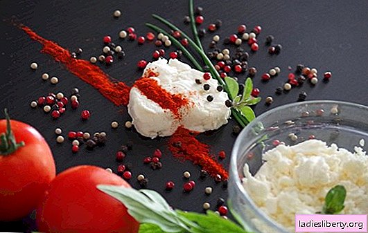 What spices and seasonings are needed for cottage cheese dishes, and what should not be added