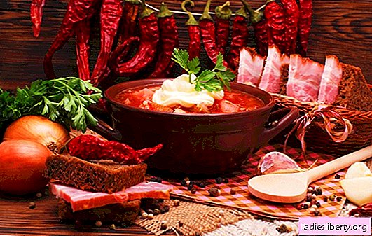 What spices are needed for borsch, and which can not be put in it