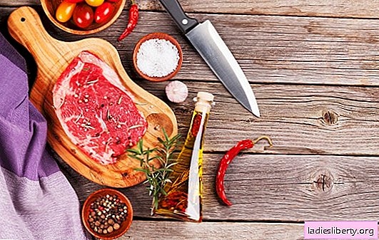¿Qué especias se necesitan para la carne y cuáles no se pueden usar en ningún caso?
