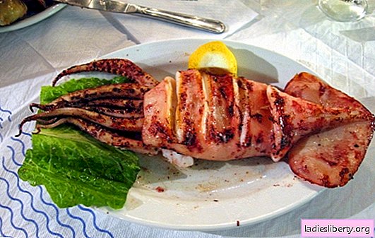 Grilled squids - seafood in a new version! Different recipes for spicy, delicate and fragrant squid grilled