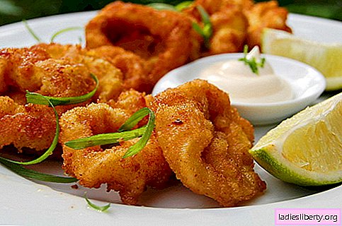 Squids in batter - the best recipes. How to properly and tasty cook squid in batter.