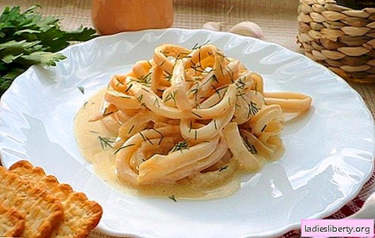 Lulas em creme azedo é um prato de molusco suculento. Receitas de Lula em molho de creme azedo com legumes, queijo, cogumelos, alho, tomate