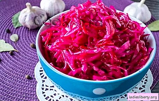 Pickled cabbage (beetroot) - harmony of taste. The best recipes for quick cabbage with pickled beets