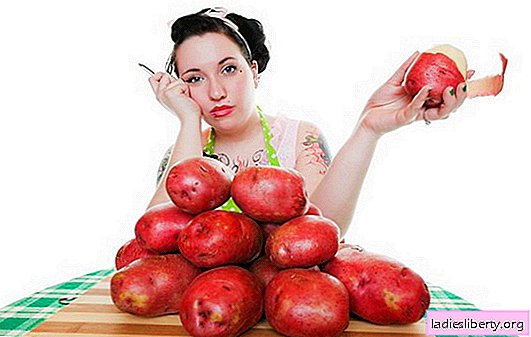 Régime alimentaire de pomme de terre pour perdre du poids: recettes de diète et exemples de menu. L'efficacité du régime alimentaire de la pomme de terre pour la perte de poids