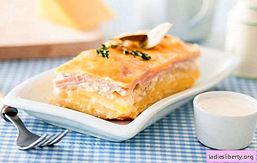 طاجن بطاطا في طباخ بطيء - مختلف! وصفات طاجن بطاطس مع اللحم المفروم والجبن والفطر والأسماك