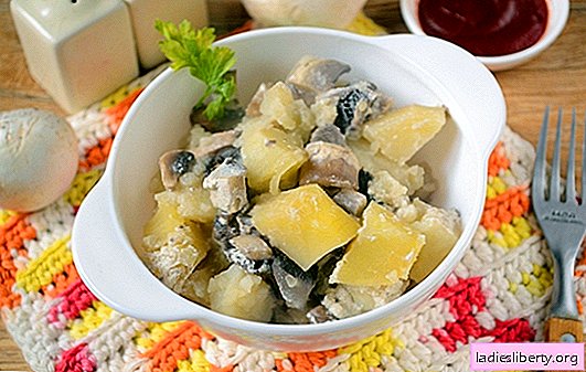 Kartoffeln mit Champignons im Ofen mit saurer Sahne - ein wohlriechendes und nahrhaftes Gericht. Schritt-für-Schritt-Foto-Rezept des Autors für Ofenkartoffeln mit Pilzen