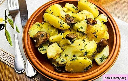 A potato with mushrooms in a slow cooker is better than in a pan. Recipes of potatoes with mushrooms in a slow cooker: fried, stewed, baked