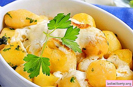 Batatas em creme azedo - as melhores receitas. Como corretamente e saboroso cozinhar batatas em creme azedo.