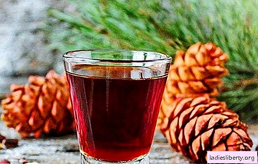 Cedar tincture on vodka: benefits for the body of a healing potion. Preparation of cedar tincture on vodka, harm and contraindications