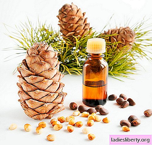 El aceite de cedro sus propiedades beneficiosas, indicaciones y contraindicaciones. Métodos de aplicación de aceite de nuez de cedro para belleza y salud.