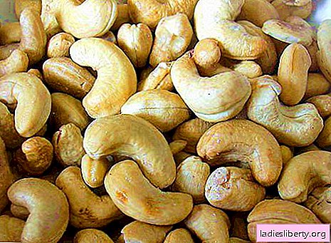 Cashew - nützliche Eigenschaften und Anwendungen beim Kochen. Cashew-Rezepte.