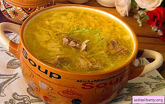 Zuppa di cavolo acida: prepara la zuppa di cavolo più deliziosa! Ricette, segreti e sottigliezze della cottura della zuppa acida di cavolo dai crauti