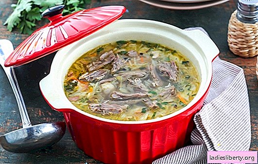Um clássico da culinária russa é a sopa de repolho com carne bovina. Receitas interessantes para sopa de repolho com carne