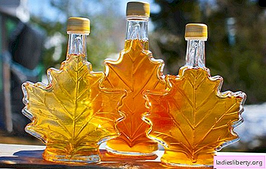 Maple sirup er en oversøisk sødme. Tvivlsomme fordele og skader på ahornsirup: måske er det PR fra canadiere?