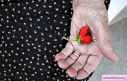 Erdbeeren für Diabetes: zulässige Dosen. Kann man bei Diabetes Erdbeeren in welcher Menge essen?