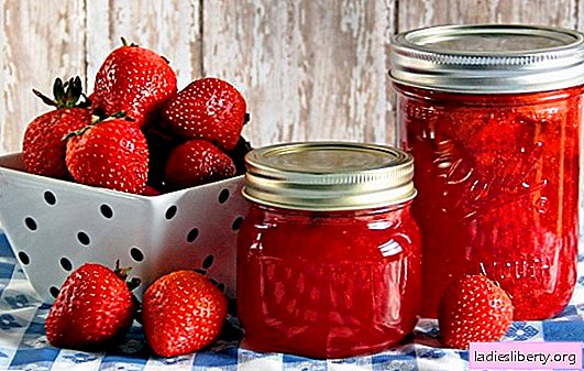 Erdbeeren in Sirup für den Winter: mit Zucker, Zitronensäure, Gelatine. Eingemachte Erdbeerrezepte in Sirup für den Winter
