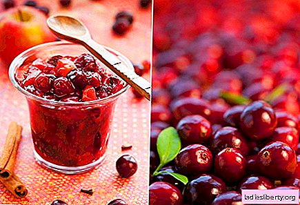 Suco de cranberry pode derrotar infecções da bexiga na infância