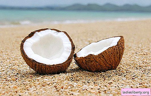 Coco o coco: ¿útil o dañino? Las calorías, los beneficios y los daños del coco, y su impacto en la salud de niños y adultos.