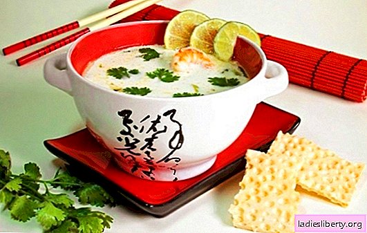 Zuppa di cocco - un delizioso biglietto per viaggi esotici! Ricette d'autore di zuppe dolci, salate e piccanti con latte di cocco