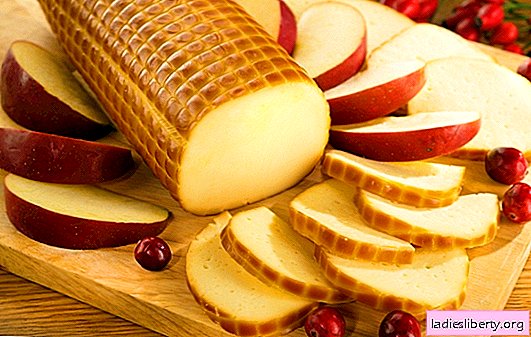 Queso de salchicha: los beneficios y daños de un producto mixto. ¿Es posible usar queso procesado en una dieta, cómo usarlo correctamente?