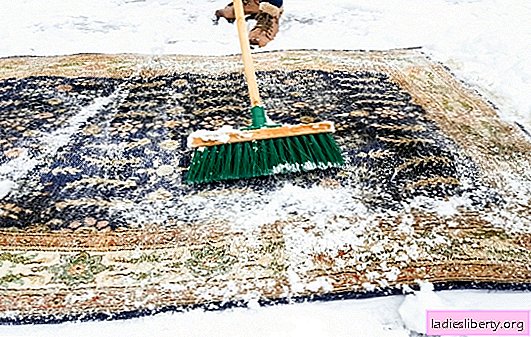 Nettoyage combiné de tapis d'hiver