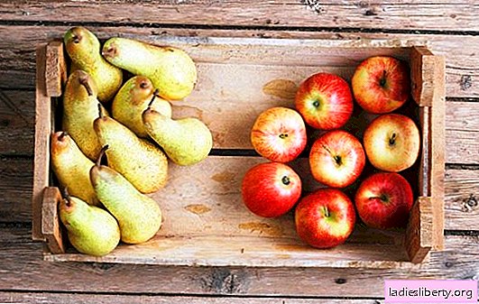 겨울철 사과와 배 조림 : 맛의 구성 요소. 트릭없이 조리법에서 겨울 동안 사과와 배를 좋아하는 설탕에 절인 과일