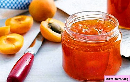 Apricot confiture - a delicate dessert with a taste of the sun. A selection of recipes for apricot confiture for tea, for the winter, for baking