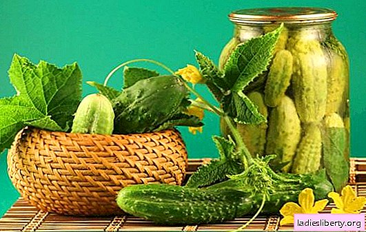 Canned cucumbers for winter: will the crunch persist? Various ways of harvesting canned cucumbers for the winter