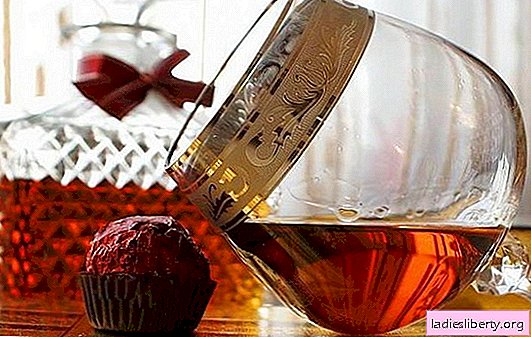 Cognac van maneschijn thuis - de Fransen bijten in hun ellebogen! Beschikbare zelfgemaakte cognacrecepten